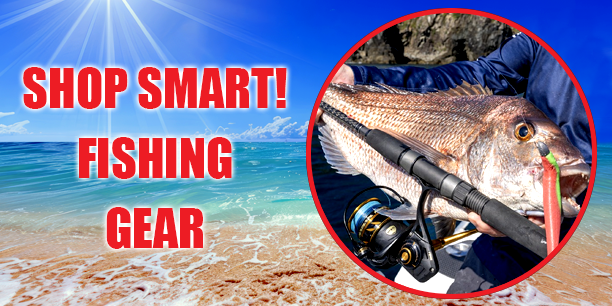 Shop Fishing