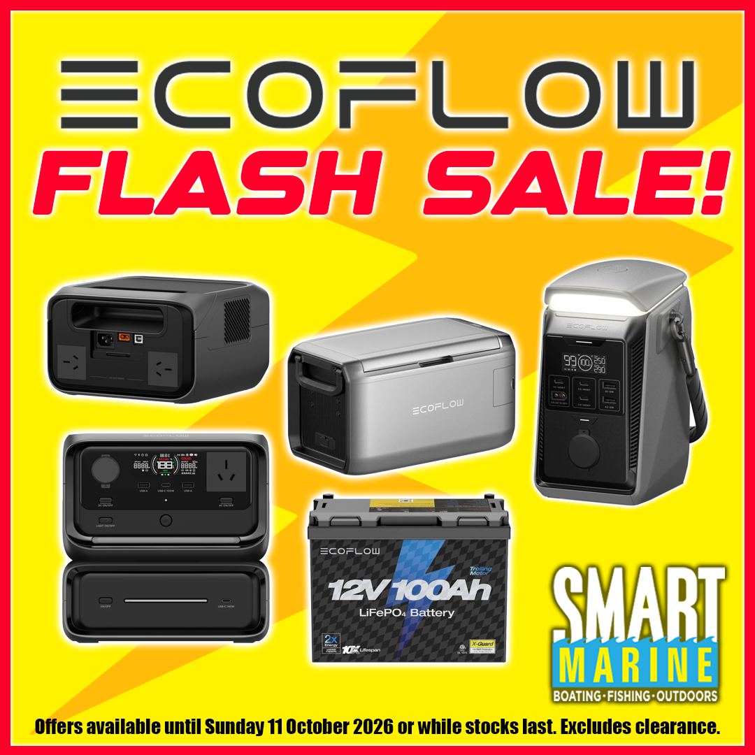Ecoflow Flash Sale