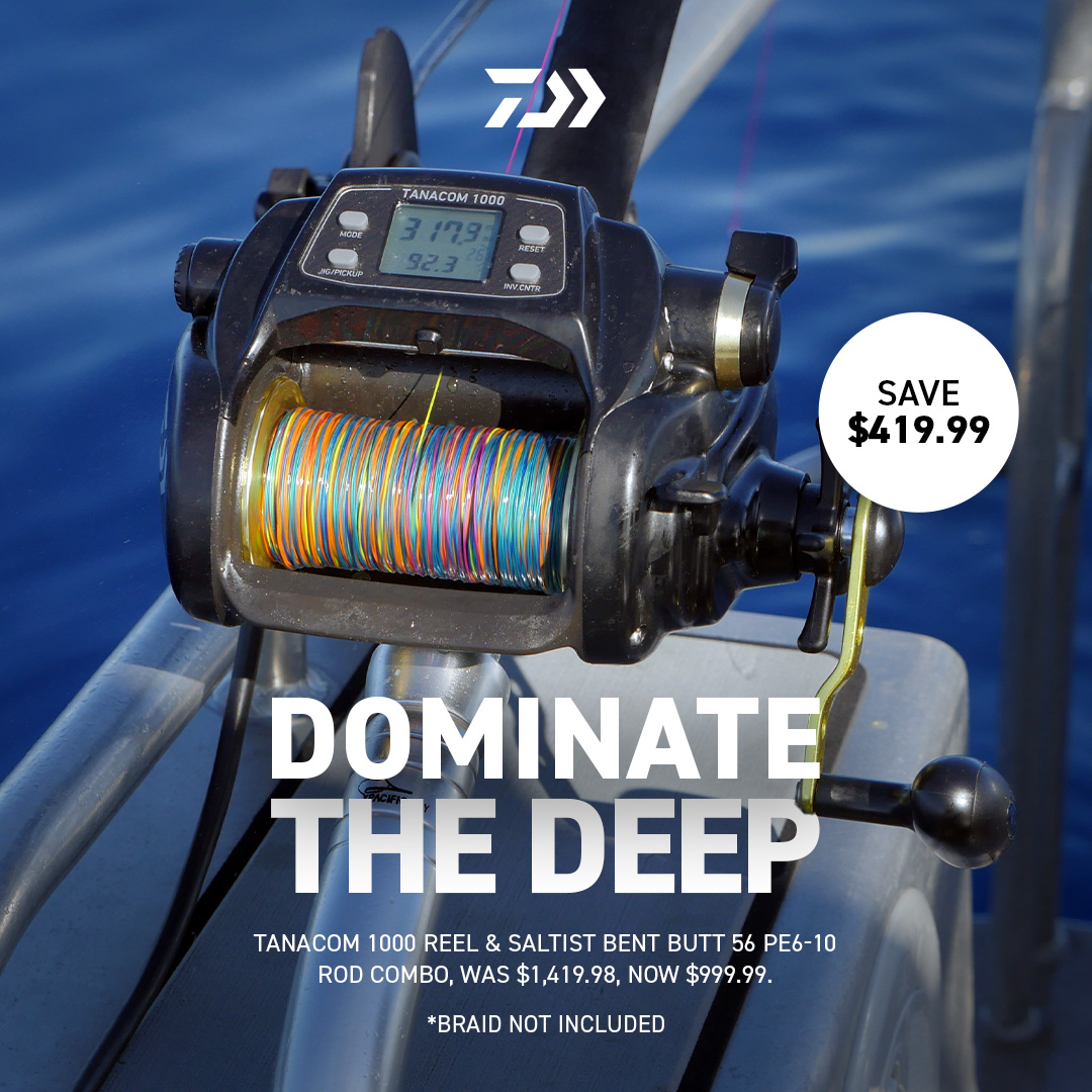 Daiwa Dom Deep 2025