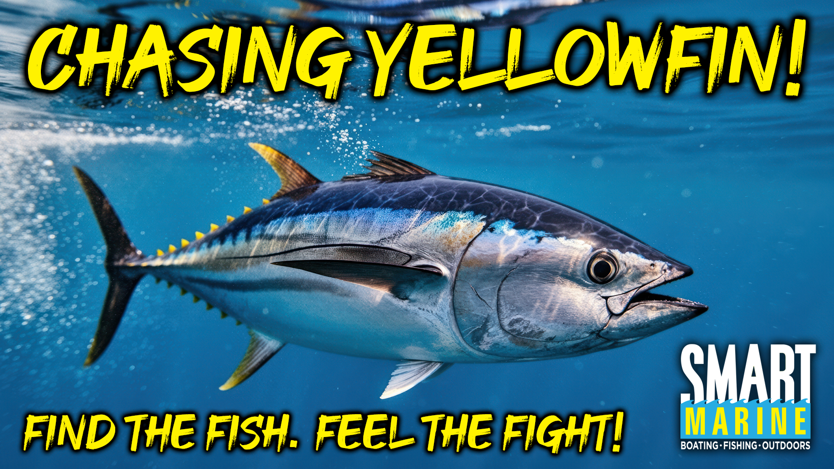 Yellowfin Tuna Fishing in New Zealand: Tips & Tricks