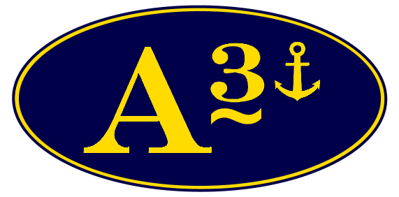 A3