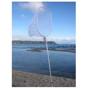 10' Collapsible Whitebait Scoop Net