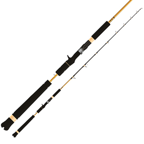 Acid Wrap Pro Series Inchiku Rod 5'8" / 50-150g