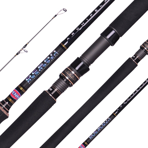 Ocean Assassin 742MH 7'4 Spin Rod PE2-4