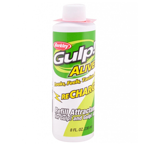 Gulp Alive Recharge Juice 236ml Bottle