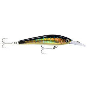 X-Rap Magnum Xtreme Bibbed Trolling Lure - 16cm Sailfish UV