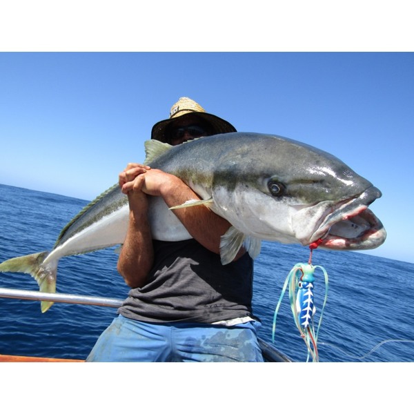 Giant Squidwing 750G Blue Glow Rigged Lure