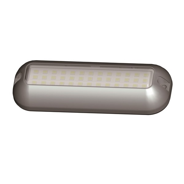 12/24V Rgbw Underwater Light 34 Lumens Ss Trim