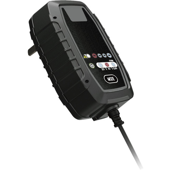 Hyundai intelligent battery charger