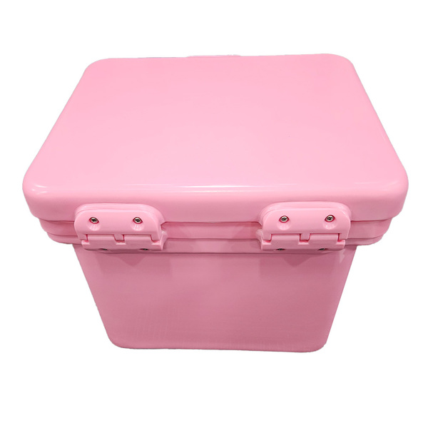 Cube Ice Box -25 Litre Pink