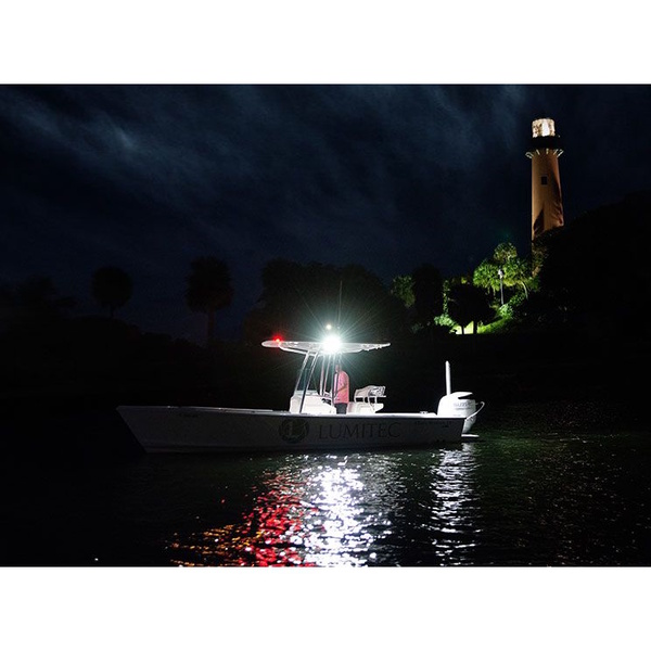 Caprera3 Bracket Mount Led Flood Light - White 