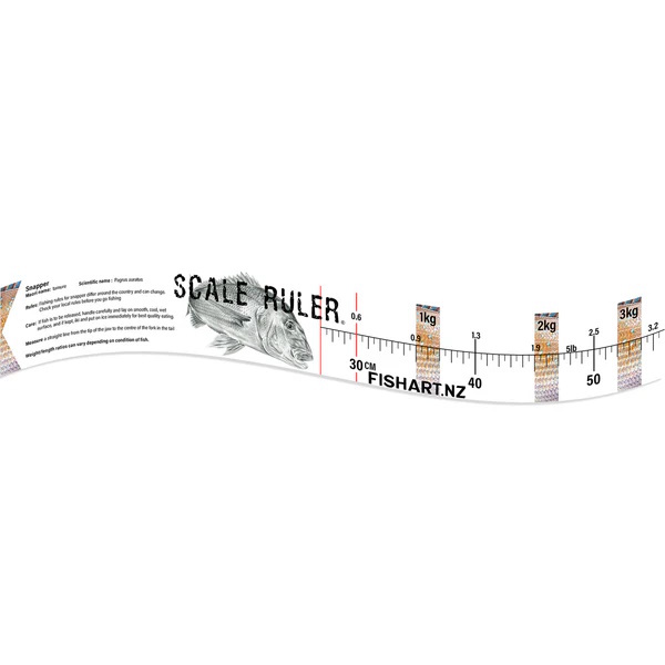 Fish Art Scale Ruler - Snapper 1100 X 75Mm 