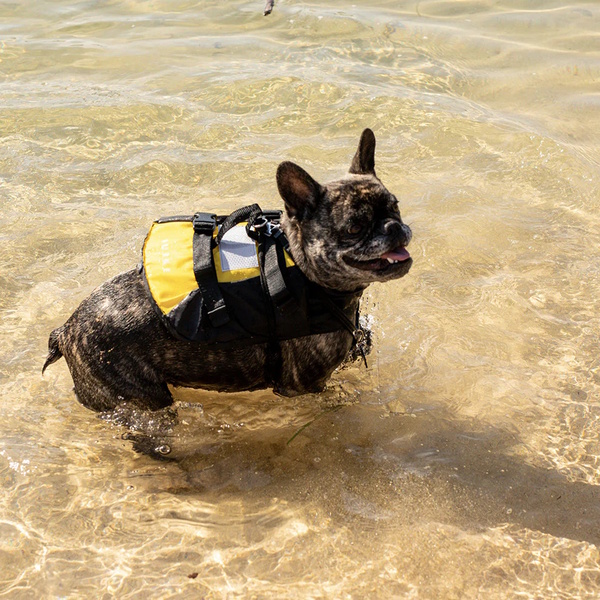Comfort Pet Buoyancy Vest 