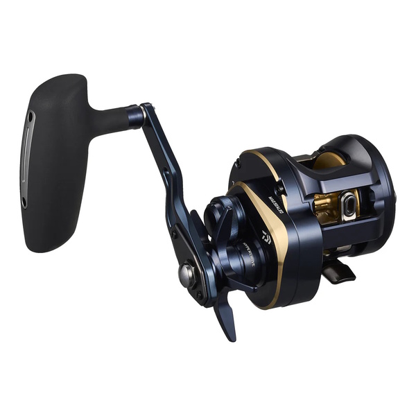 25 Saltiga 300H Overhead Reel 