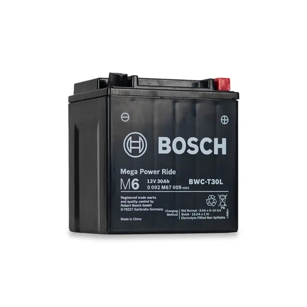 12V 28Ah Agm Jet Ski Pwc Battery Rbwc-T30l (Tx30l-Bs)