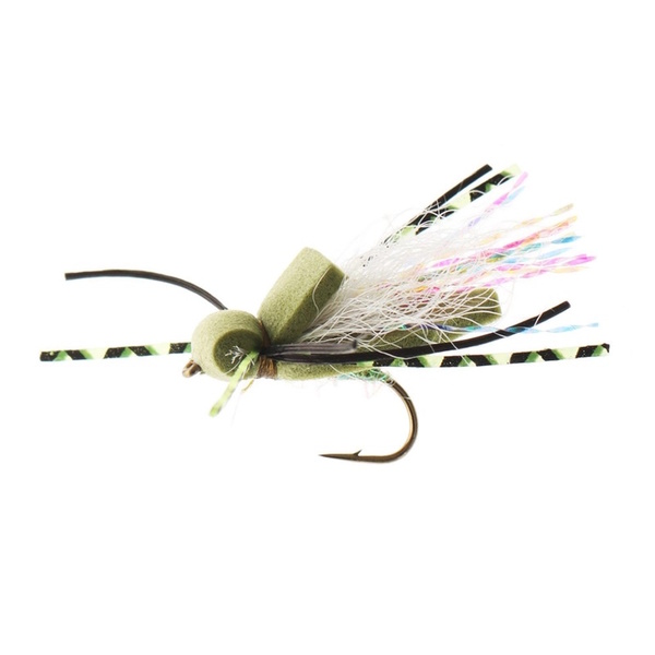 Fly Flat Back Cicada - Olive