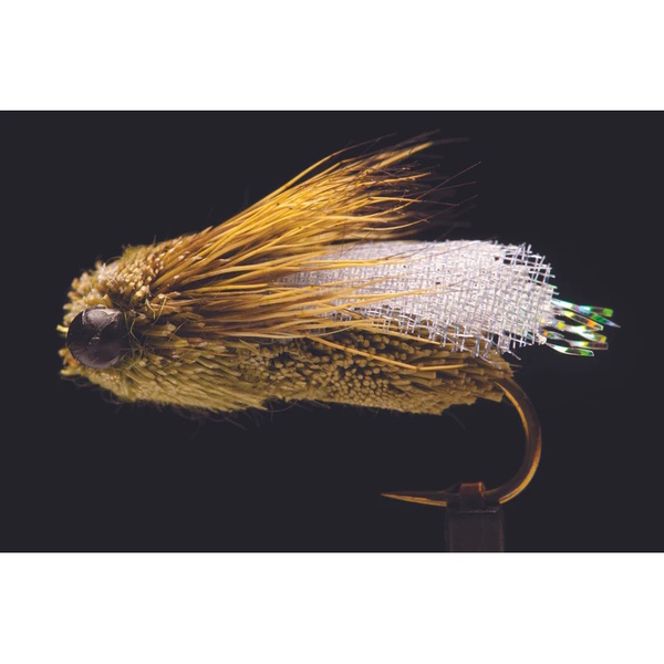Fly Classic Cicada - Olive
