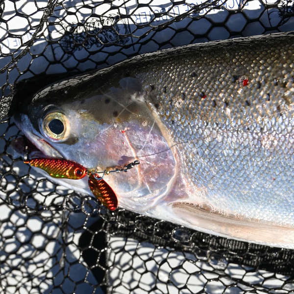 Spinsect Lure 5G / 10G / 17G - Blinky