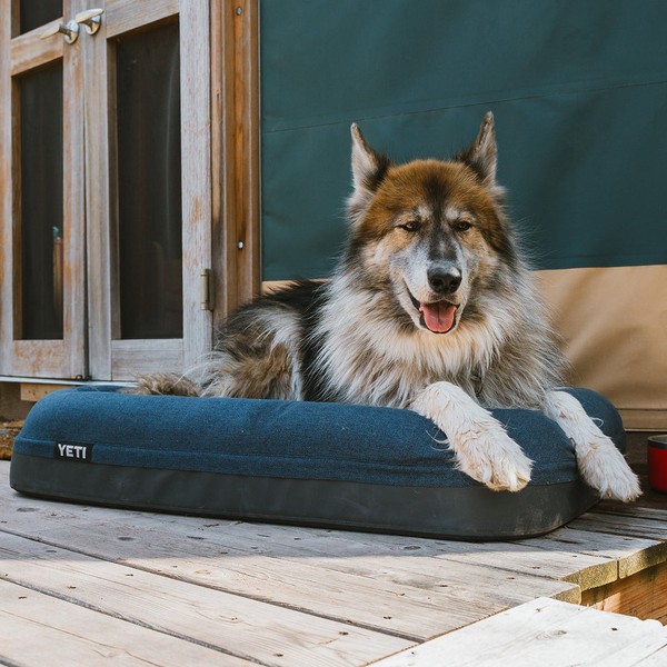 Boomer Dog Bed  2.0  Small & Large