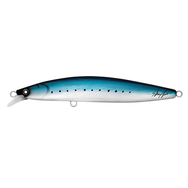 210Mm/122G Saltiga Skyfin Iwashi Lure Rigged