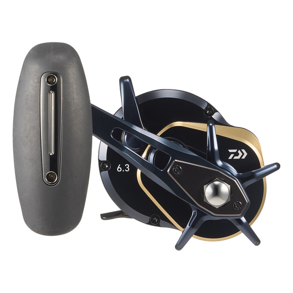 Saltiga 25 (G) 10 Reel Ohead Star Drag