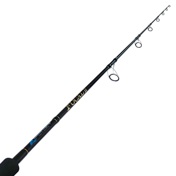 Focal 2 Topwater Spin 7'9" 1.5Pc Pe5 50-110G Rod