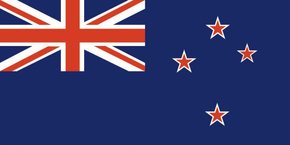 Polyester Blue New Zealand Flag 30x45cm (12"x18")
