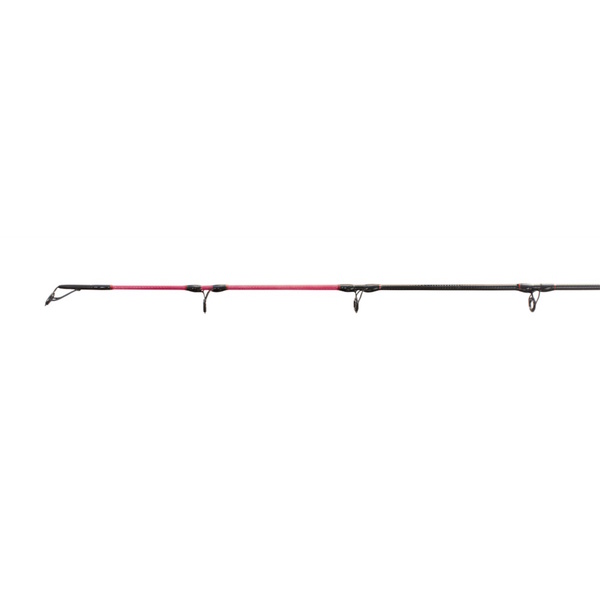 Classic Xt 300L W/ Trout Stik Trolling Combo W/ 100 Yds Leadline 5Ft 6In