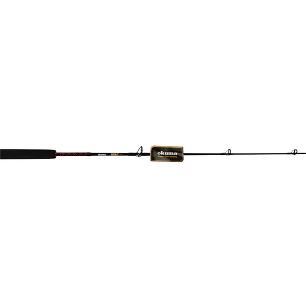 Classic Xt 300L W/ Trout Stik Trolling Combo W/ 100 Yds Leadline 5Ft 6In