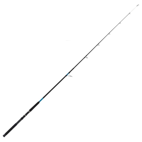 Btr 6000 D Spin / 25 Aquatip 7'0" Combo Spin 6-10Kg 2Pc