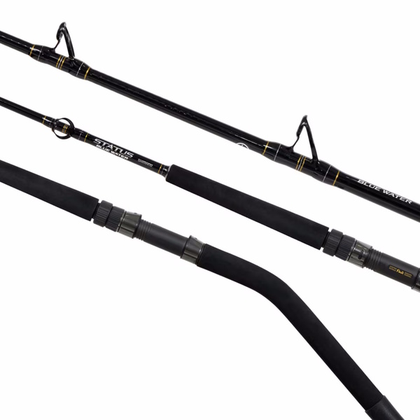 Plays 3000 A / 26 Status Bluewater 6'0 30-50Lb Combo With Braid 