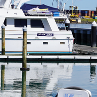 Ultra Contour Non Marking Marina Dock Fender- 1500Mml X 170Mmh X 150Mmd