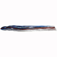 Replacement Lure Skirt - 8" - Blue Foil Hologram