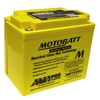 12V 21 Amp Hour Agm Jetski Pwc Battery 