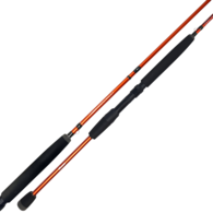 Cortez 10 Reel With Cortez 5'0 24-37Kg Jig Rod With Braid