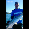 Kingfish Tuna Marlin Xl Insulated Catch Bag -180Cml
