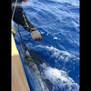 Ss Flying Gaff Set 8" Complete - 160Cm