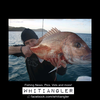 Btr 12000D Baitrunner Spinning Reel 