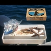 The Odour Eroder Soap Bar Hand Fish Smell Deodouriser- 100Gm (Nz Made) 