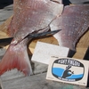 The Odour Eroder Soap Bar Hand Fish Smell Deodouriser- 100Gm (Nz Made) 