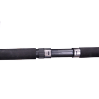 Tr2000ld Charter Special & Auratus 6' 8-10Kg Overhead Boat Combo