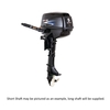 Outboard Motor 5Hp Long Shaft 4 Stroke - Dual Fuel  
