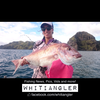 Thunnus 8000 Ci4 Baitrunner Spinning Reel
