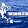 Thunnus 8000 Ci4 Baitrunner Spinning Reel