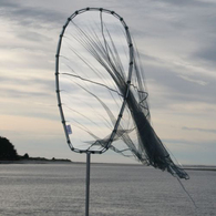 12' Scoop Whitebait Net