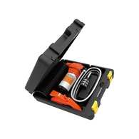 Portable Washdown Pump Set 4-Chamb 12v/17LPM/70psi 