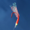 Mini-Trace - Red Shrimp