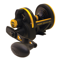 Squall 30 Overhead Lever Drag Reel