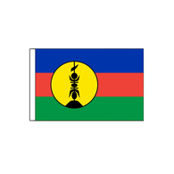 New Caledonia Flag (Local) -30x45cm (12"x18")