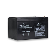 12v 12 Amp Hour AGM Deep Cycle Battery